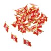 jojofuny 2sets 25pcs Canada Flag Brooch Pins Metal Lapel Pin