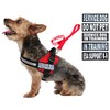 Doggie Stylz Service Dog Vest Harness and Leash Set with