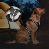 Unbranded No Pull Dog Pet Harness Adjustable Control Vest Dogs