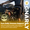 Gnarly Nutrition Golden Milk Plant-Based Protein Blend – Vegan Powder