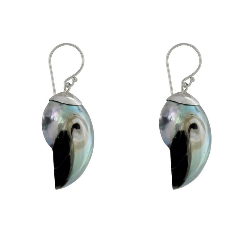 LES POULETTES BIJOUX - Sterling Silber 925 Ohrringe Nautilus Muschel