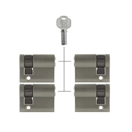 Löwen Sicherheit 4x Half Cylinder 40 mm 30/10 Keyed Alike with 20 Keys Coated Brass