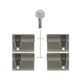 Löwen Sicherheit 4x Half Cylinder 40 mm 30/10 Keyed Alike with 20 Keys Coated Brass