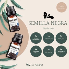 Aceites Esenciales de Semilla negra Aromaterapia - Natural 100% de Aceite Esencial Natural Conjunto de Difusores y Humidificadores con Caja de Regalo Exquisita (UVa Natural, 10 ML) (Semilla negra)