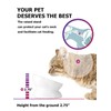 Y YHY Cat Bowl Anti Vomiting, Raised Food Bowls, Tilted