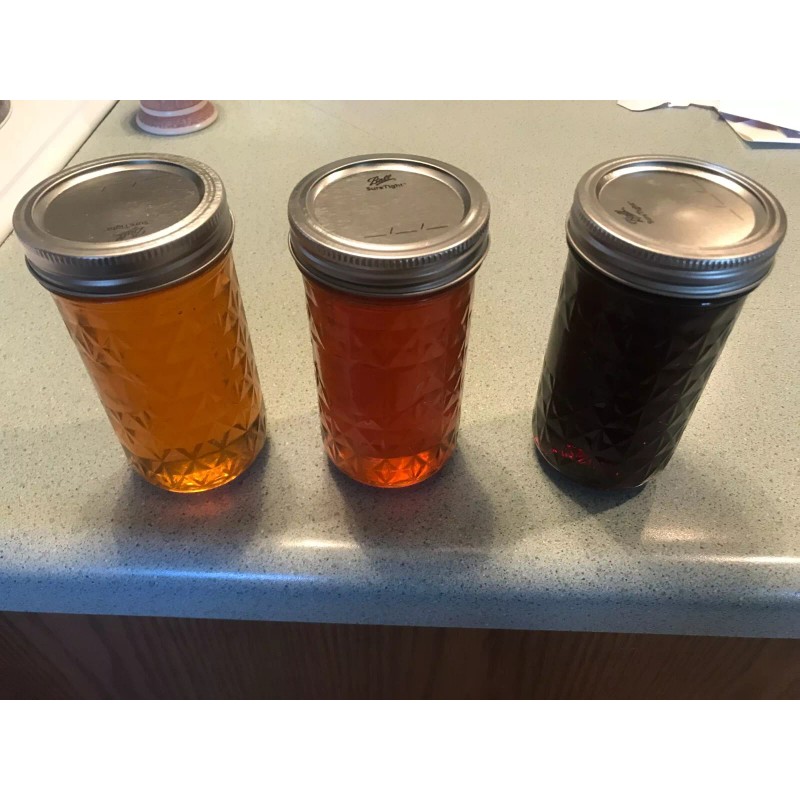 Rent A Hive Killer Bee HONEY The best HONEY ON