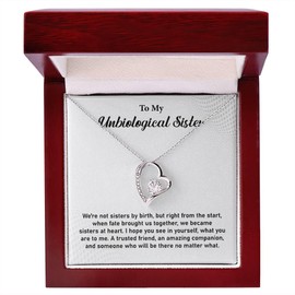 Unbiological Sister Necklace, Sentimental Bonus Sister Gifts For Women, Necklace For Step Sister, Sister-in-law, Or Best Friend, Non-Biological Sister Necklace Gift (LED Luxury Box, 14k White Gold)