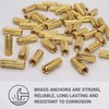 (Pack of 25) Brass Drop in Anchors 5/16" x 1-1/8"