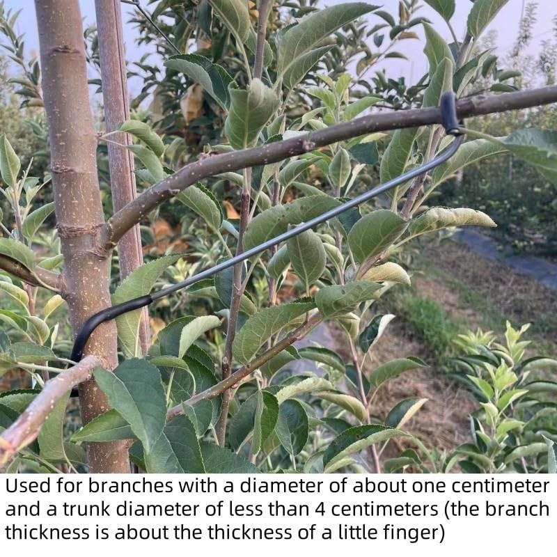 20Pcs Fruit Tree Branch Spreaders, 7 Inch Limb Puller with