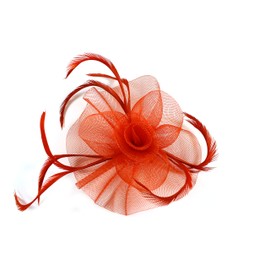 Ladies Elegant Looped Net with Centre Swirl Fascinator on a Clip and Brooch Pin