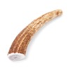 Good Lovin' Naturally Shed Large Whole Elk Antler Dog Chew
