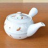Japanese Teapot Ceramic Kyusu 14.5 fl oz Made in Japan