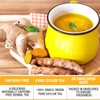 Tipson Organic Turmeric Variety Sampler - 6 Flavors (60 Tea