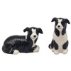 Lesser & Pavey Salt & Pepper Set for All Types