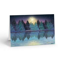 Stonehouse Collection Christmas Cards Boxed with Envelopes, Happy Holidays Cards,Bulk Christmas Cards