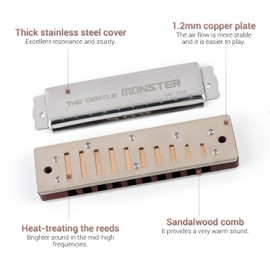 JDR Blues Harmonica Key of A Gentle Monster, Wood Blues Armonica 10 Hole Compromise Tuning Harp for Adults Kids Professional Beginners Mouth Organ with Case