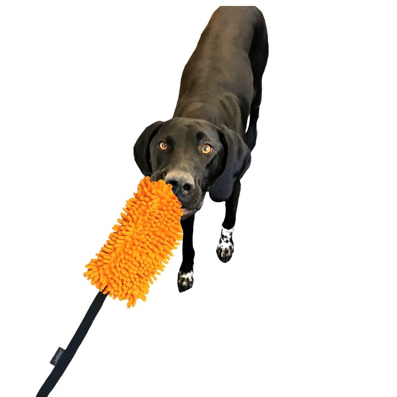 elropet Dog Toy Moppi Small Dogs/Large Dogs/Tug/Throw/Fetch/with Wrist Strap/Tug Toy