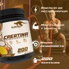 Creatina Klokan Monohidratada 1kg 200serv. Varios Sabores