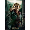 Philos Hermione Granger 9042-3D Puzzle in Collector's Box, 300 Pieces,