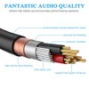 JOLGOO Cable de inserción TRS de 1/4" a RCA dual,