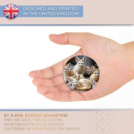 Destination Vinyl ltd Magnet for Refrigerator, Fridge - Cute Fennec Fox Pack Foxes for Office, Cabinet and Whiteboard, Magnetic Stickers, 44773