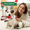 Chngeary Dog Christmas Toys for Small Medium Large Dogs, Squeaky