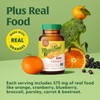 MegaFood Ultra C 400 mg - Vegan Immune Support Supplement