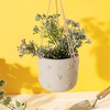 Sass & Belle Hanging Cement Planter with Bees