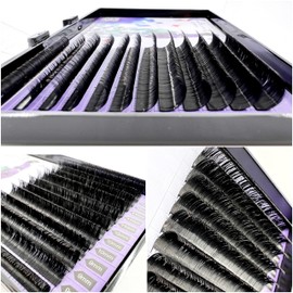 Lash Extension Supplies, 2 Trays 12 Rows Easy Fan Volume Eyelash Extensions, Soft Faux Mink Individual Lashes, Camellia Self Fanning Blooming, 0.07-C, 10mm & 11mm, Black