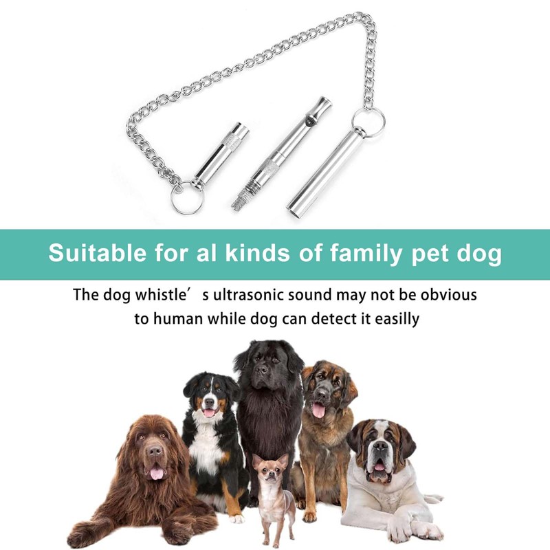 AHEJIOO Dog Whistle Rütter Recall - Metal Whistle with Necklace