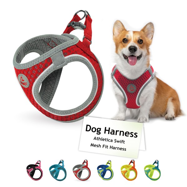 DOCO Dog Harness (Chest 18.5"-19.5", Weight 15–20 lbs) Athletica Adjustable