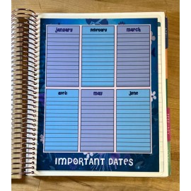 Handmade Important Dates 2 Sided Dashboard Insert for use with Erin Condren Planner-