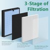 FCFMY HAP603 H13 True HEPA Replacement Filter Compatible with ECOSELF