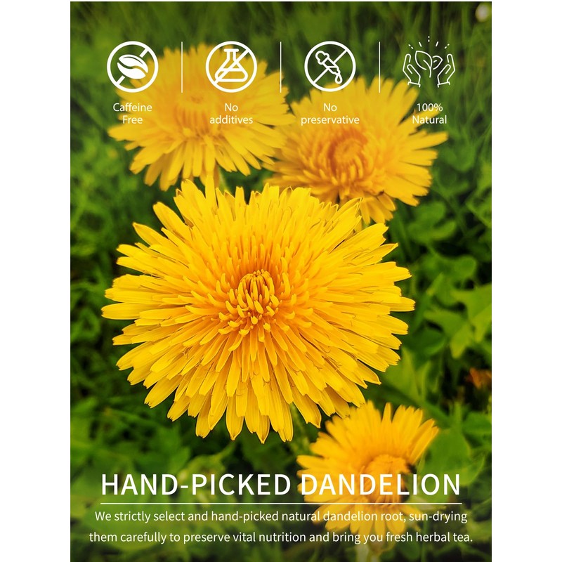 TeeLux Dandelion Root Tea Bags, Premium Raw Dandelion Root Tea,