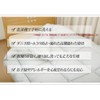 araemax sirutexinatyako-ru 備長 Charcoal Fabric Washable Synthetic Duvet Junior 130