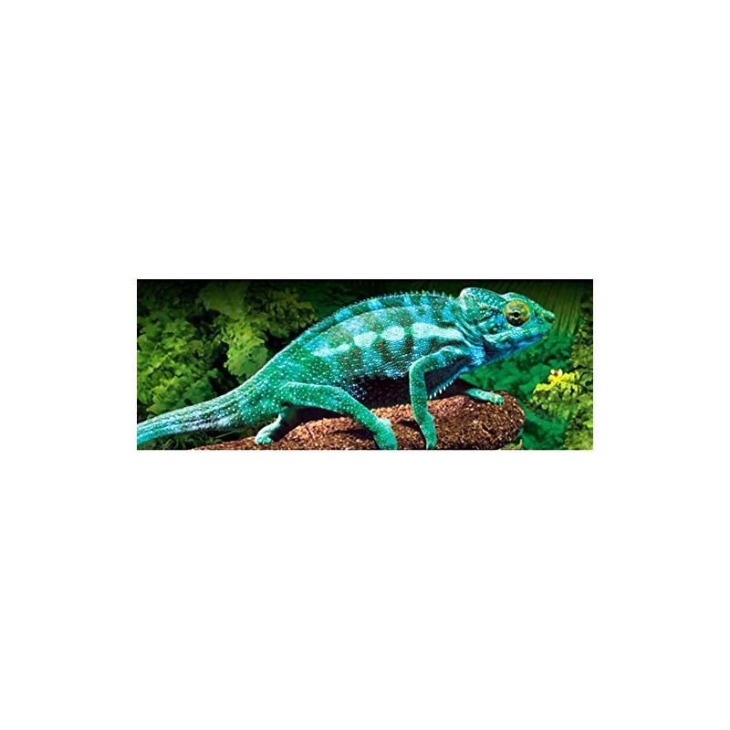 Exo Terra Exo Terra Electrolyte & Vitamin D3 Supplement, 120