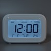 Mini Digital Alarm Clock with LCD Screen Snooze Function 12H