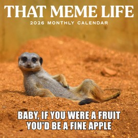 Meme Calendar 2026 | 12" x 24" 12 Month Funny Animal Memes | Marble City Press | Comedy, Gift for Kids, Humor Gifts | 2026-2027