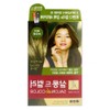 Self-dye Ash Brown Gray Gray Cover Tube Type Easy Dye Cream / 셀프 염색약 애쉬브라운 새치커버 튜브타입 간편 염색 크림