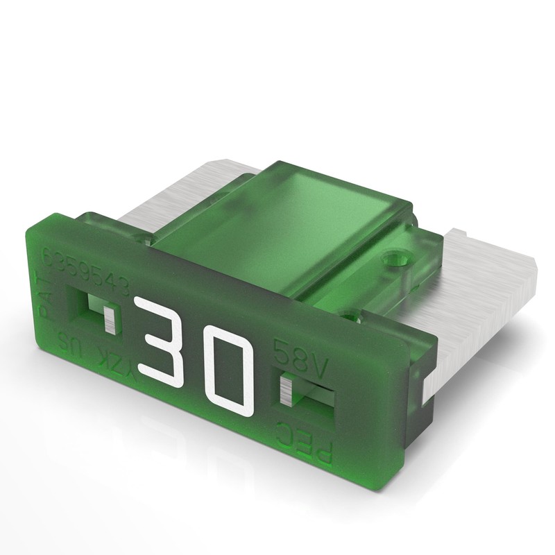 AUPROTEC Mini LP Car Fuses Blade Fuses 2A - 30A