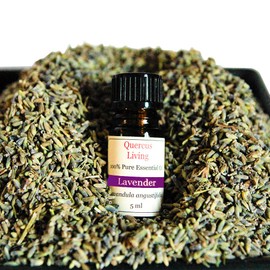 Quercus Living Dried Lavender Buds (200g) and Lavender Essential OIl (5ml) for sachets, potpourri, crafts, sachets and Wedding Confetti