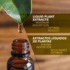 Herb Emporium Hierba del Sapo Herbal Extract 1 fl oz.