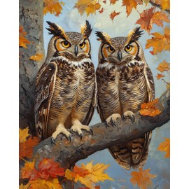 OKSGYTA Two Owls Paint by Numbers Kit for Adults, Paint by Number on Canvas, Abstract Art Digital Oil Painting Kits Suitable for Home Wall Decoration Gift 16"x 20"