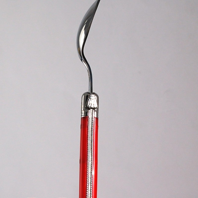 Lagulore ABS Handle, Teaspoon, Made in France, NERON Rouge