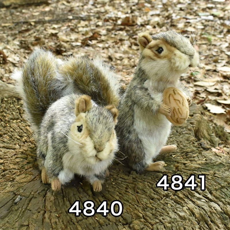 HANSA Hirolis No. 4841