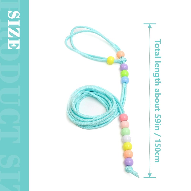 One Piece High Elastic Bearded Dragon Lizard Leash Walking Training