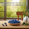Tea Boutique Flavored Tea Blueberry Tea Tea Bags 10tb x