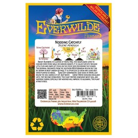Everwilde Farms - 2000 Nodding Catchfly Wildflower Seeds - Gold Vault Jumbo Seed Packet