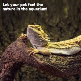 Reptile Decor Natural Forest Branch Terrarium Habitat Decoration Lizard Climbing Tree Branch for Bearded Dragon Gecko Snake Frog Chameleon Spider 4PCS