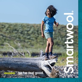 Smartwool SW0SW599H96S Women's Everyday Jovian Stripe Crew Socks Charcoal-Moonbeam S